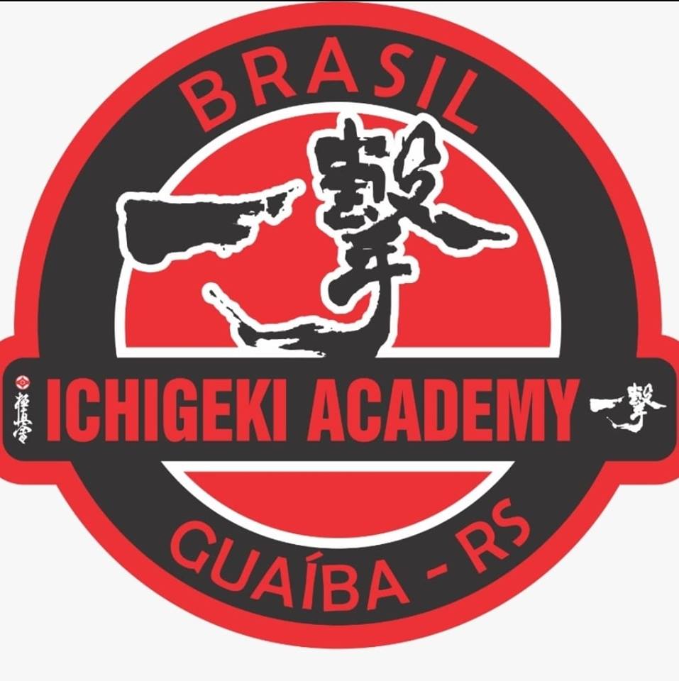 Logo da empresa Ichigeki Academy