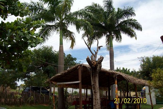 Imagem da galeria: Restaurante Panela de Barro