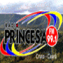 Logo da empresa Rádio Princesa Fm 99.1